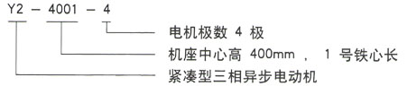 泰富西玛Y系列三相异步电机型号说明