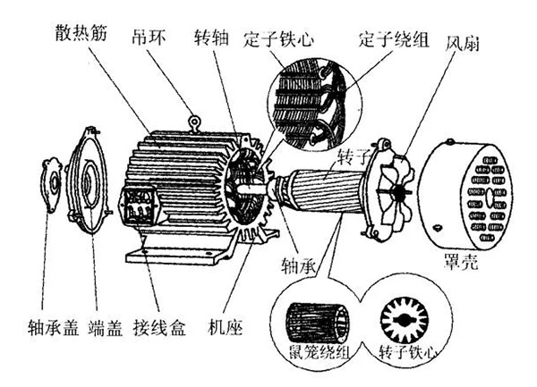 三相异步电动机的六种分类方法及具体分类。